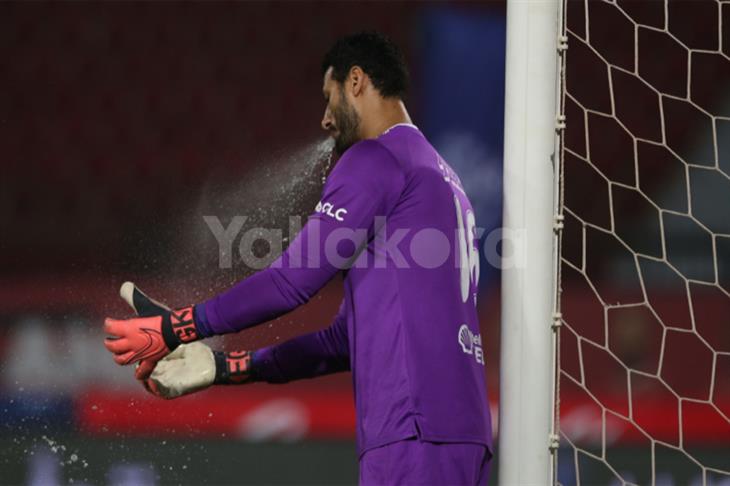 محمد الشناوي